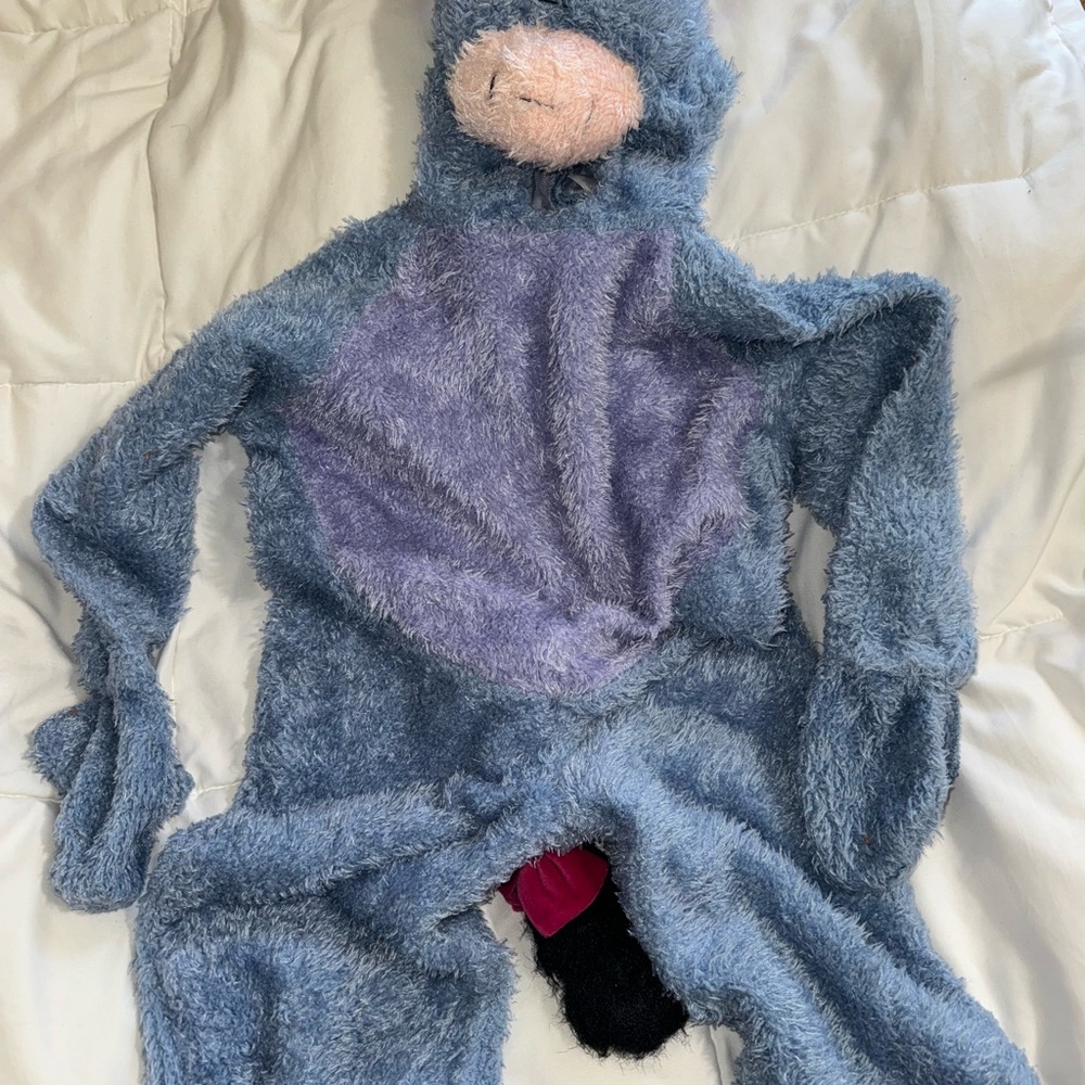 Disney store Winnie the Pooh Eeyore costume